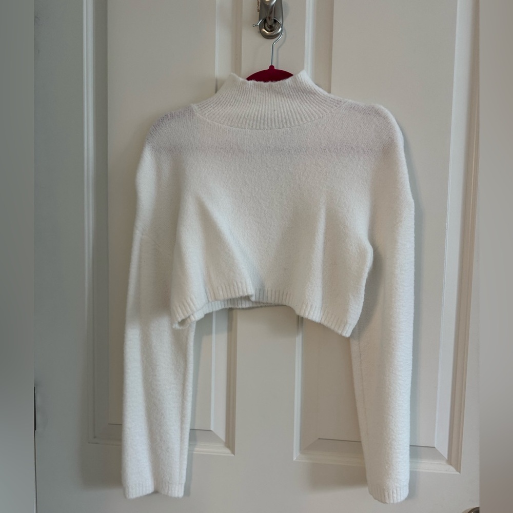 Zara Cropped Turtleneck Sweater